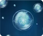 Bloomecto(TM) Ectoine (Pharmaceutical Grade)