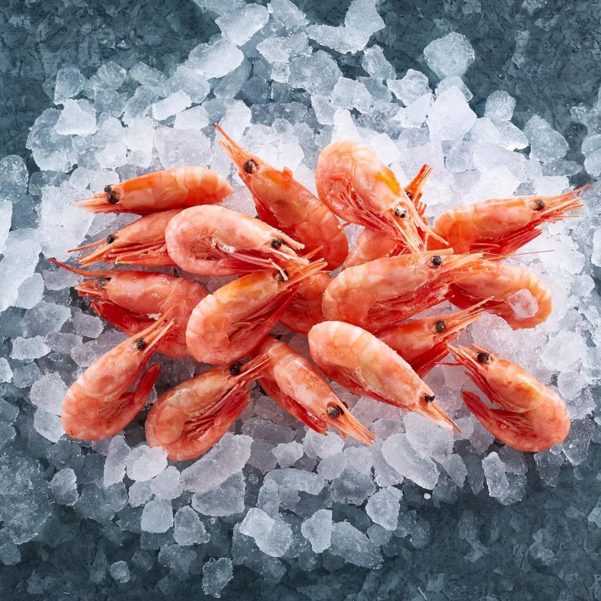 Greenland Prawns