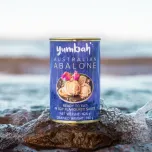 Abalone (Haliotidae family)