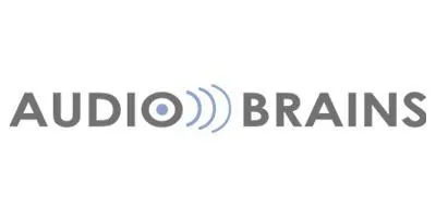 AUDIO BRAINS