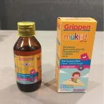 Grippen - Cough, Cold & Flu Preparations