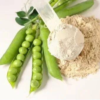 NUTRALYS® plant protein
