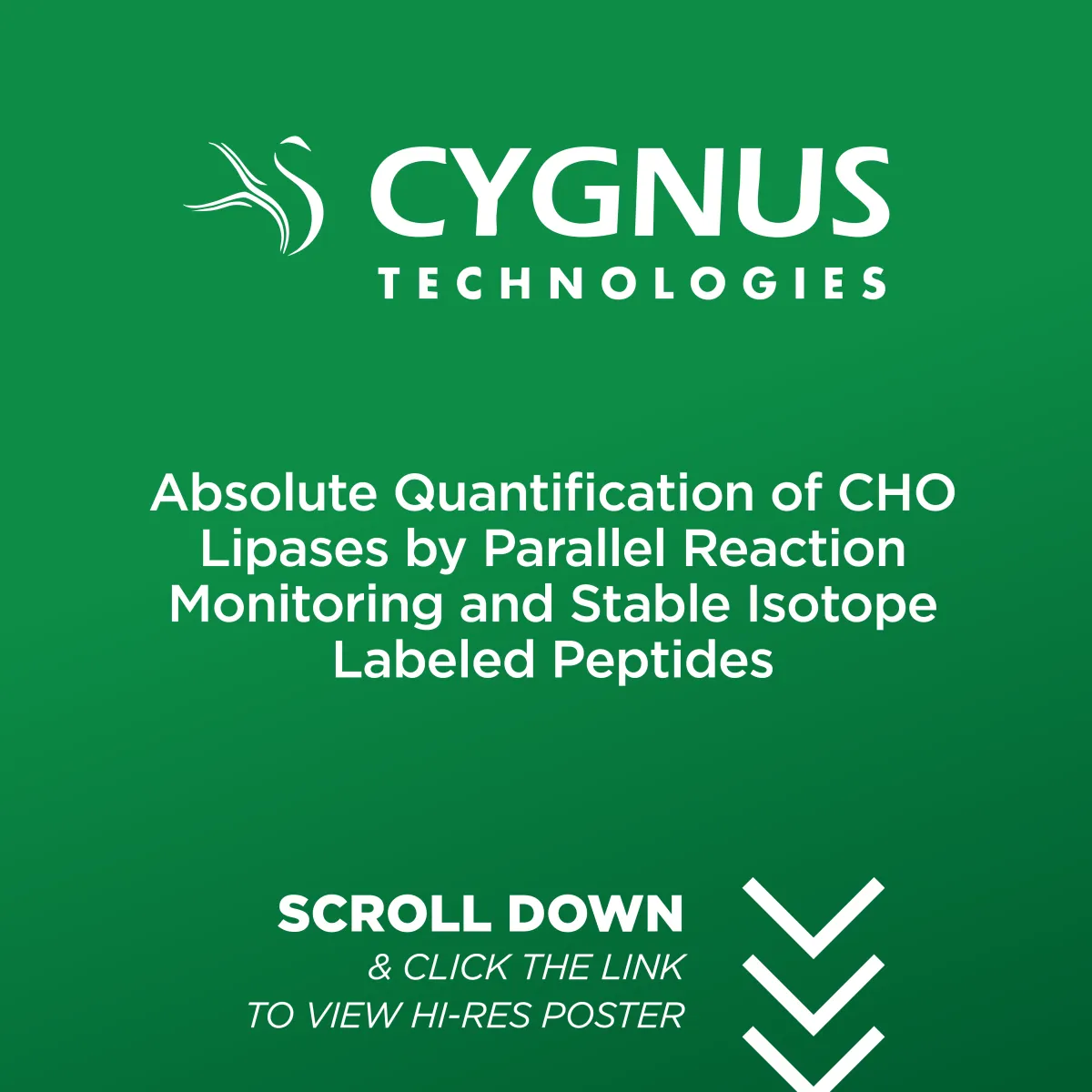 Absolute Quantification of CHO Lipases by Parallel Reaction Monitoring and Stable Isotope Labeled Peptides