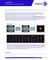 Cell Line Development, 3D Cell Culture and Immuno-Oncology Research (In Vivo)