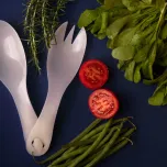 BioPlásticos Rígidos