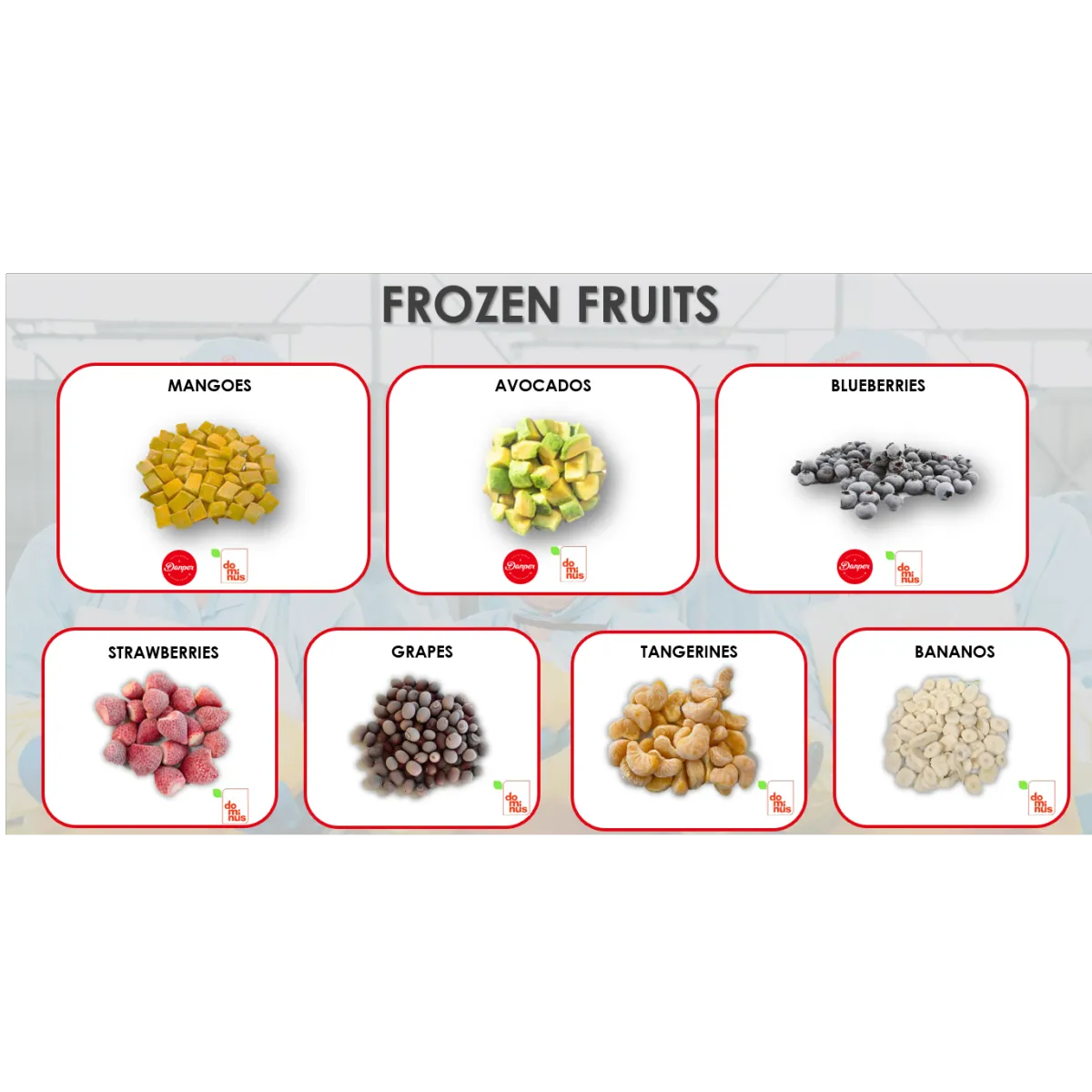 Frozen Fruits