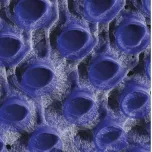 High-Performance 3D X-ray Inspection – Cheetah EVO