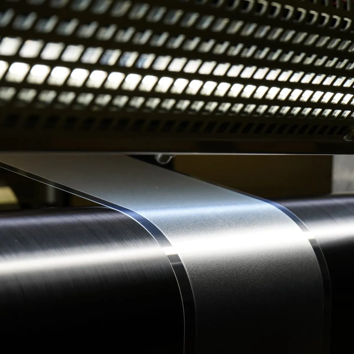 An undisputed expert