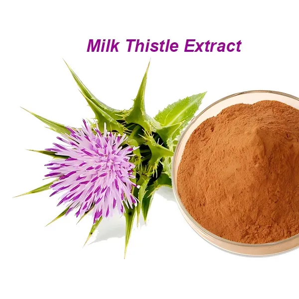 Milk Thistle Extract