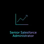 Senior Salesforce Administrator
