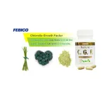 FEBICO® Chlorella Growth Factor - C.G.F.