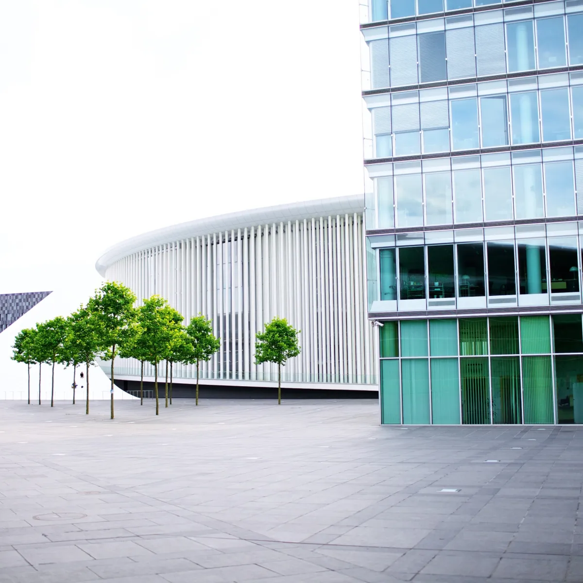 Luxembourg Roundtable: DORA’s a problem for the management