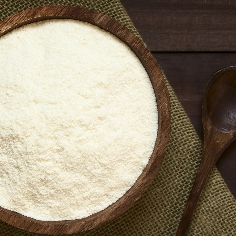 Dairy Powders