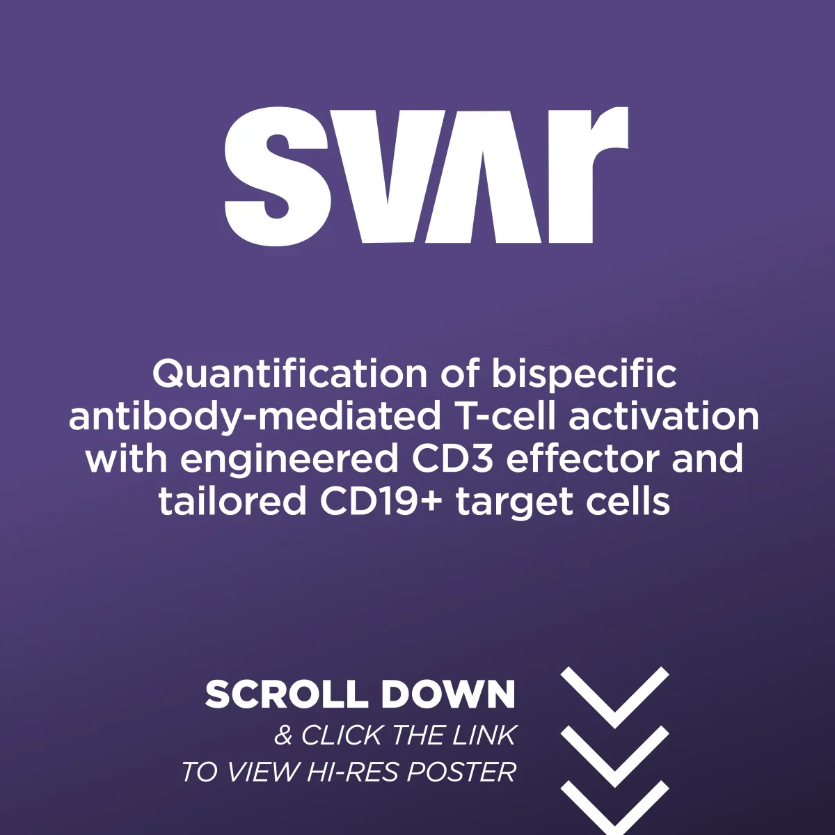 Quantification of bispecific antibody-mediated T-cell activation with engineered CD3 effector and tailored CD19+ target cells
