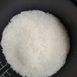 Lotus jasmine Rice