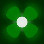 Belver - service d'effarouchement par drone