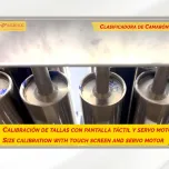 SHRIMP CLASSIFYING MACHINE