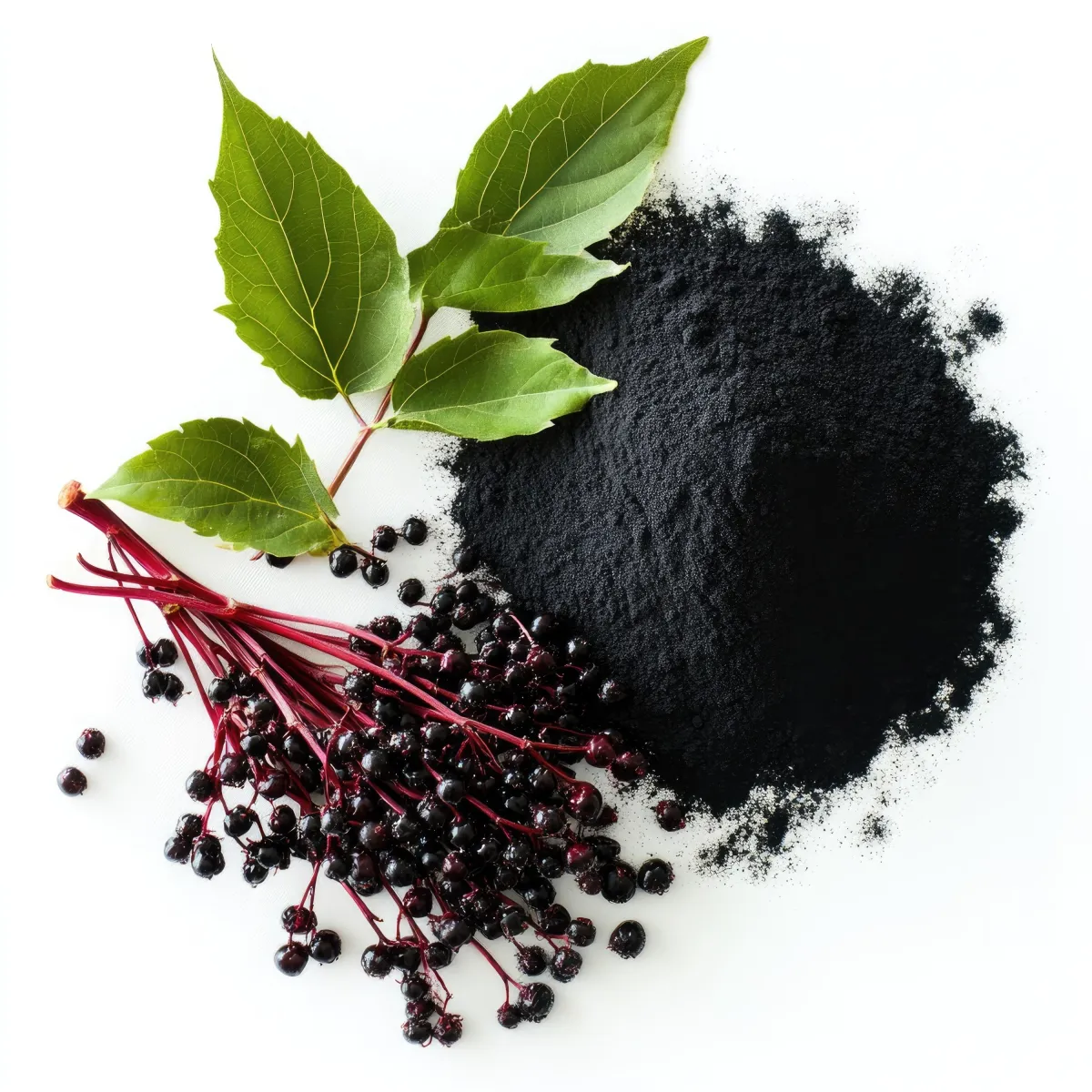 FENO-SAMBUCUS™ 30 - 30% Anthocyanin Elderberry Extract