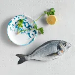 SEA BREAM / DORADE