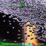 Sementes Forrageiras Emerge+