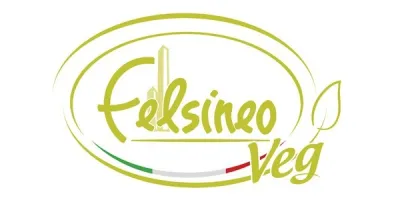 FELSINEOVEG SRL SOCIETA' BENEFIT