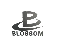 GUANGZHOU BLOSSOM LEATHER CO ., LTD