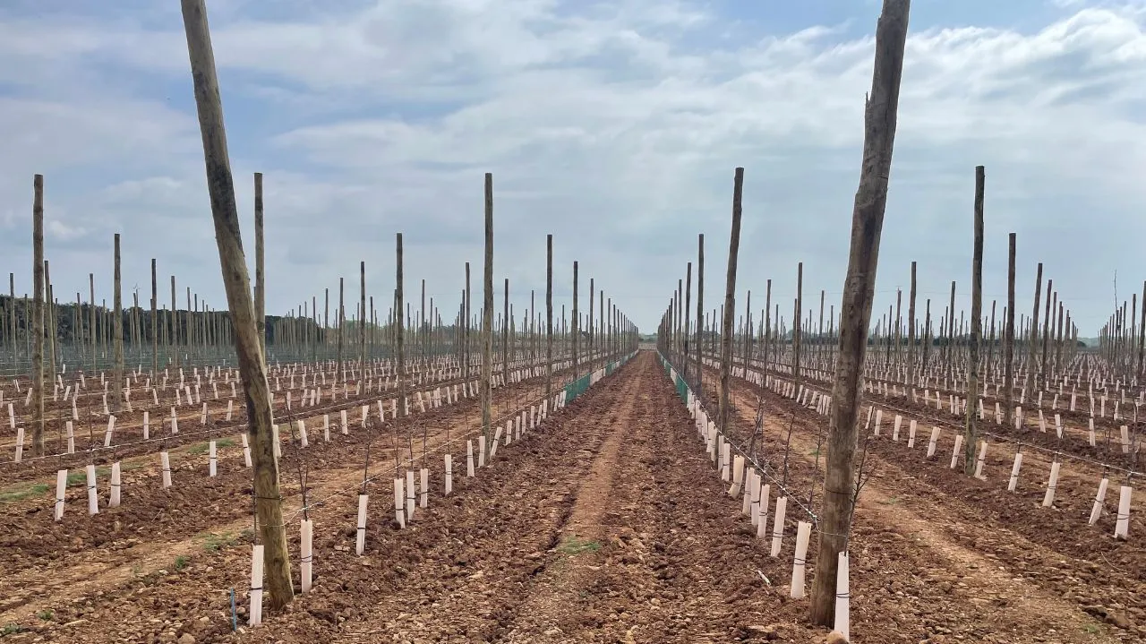 Les expertises croisées de la diversification