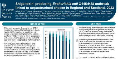 20a - Shiga toxin–producing Escherichia coli (STEC) O145:H28 outbreak linked to unpasteurised cheese in England and Scotland, 2023