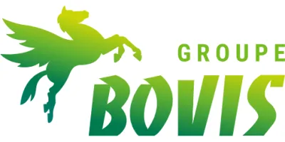 BOVIS