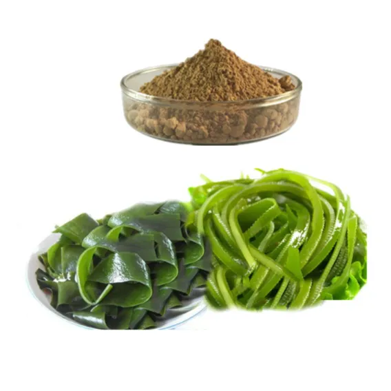 Fucoxanthin(3351-86-8)