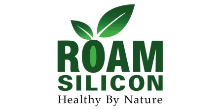 Roam Silicon BV