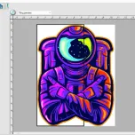 Flexi® PRINT RS