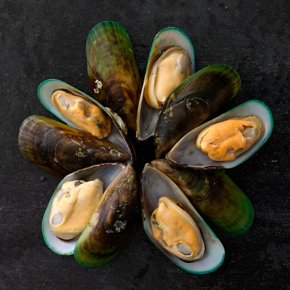 New Zealand Mussels