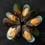 New Zealand Mussels