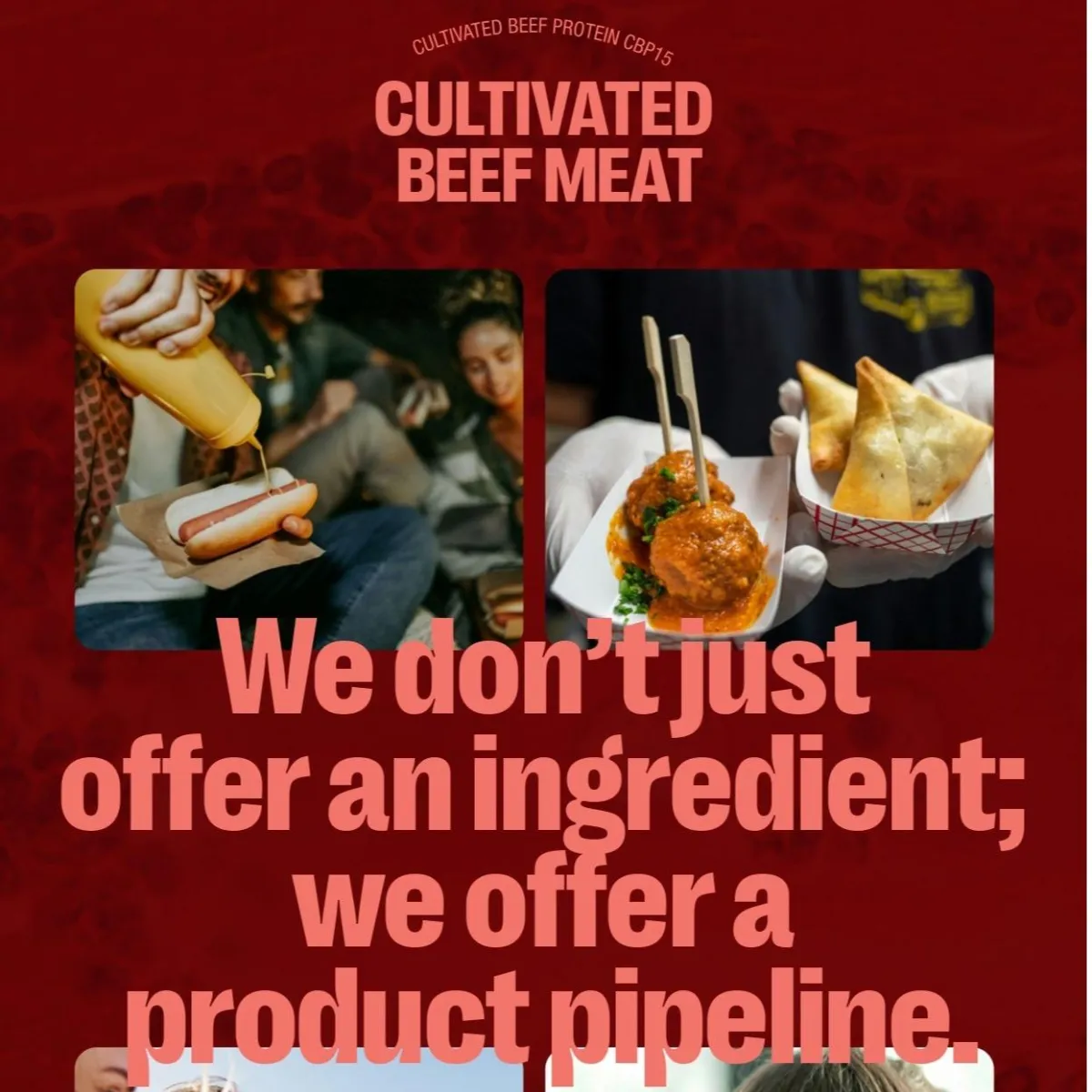 Cultivated Beef Meat