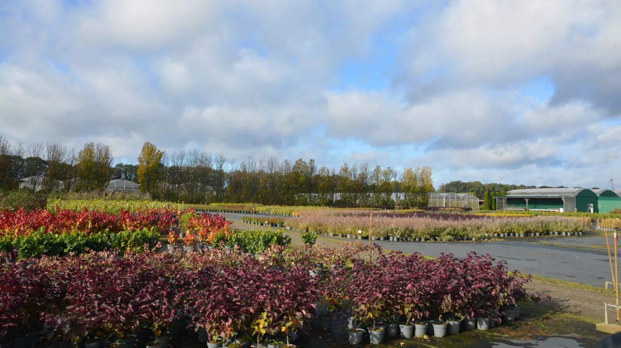 Peut-on se passer de tourbe demain ?