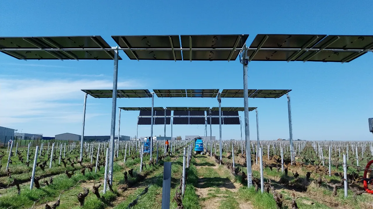 Retour d’expérience sur l’installation d’un démonstrateur agrivoltaïque sur vigne
