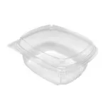 12oz Dome PET Hinged Lid Container/XDJ-MRV-12T