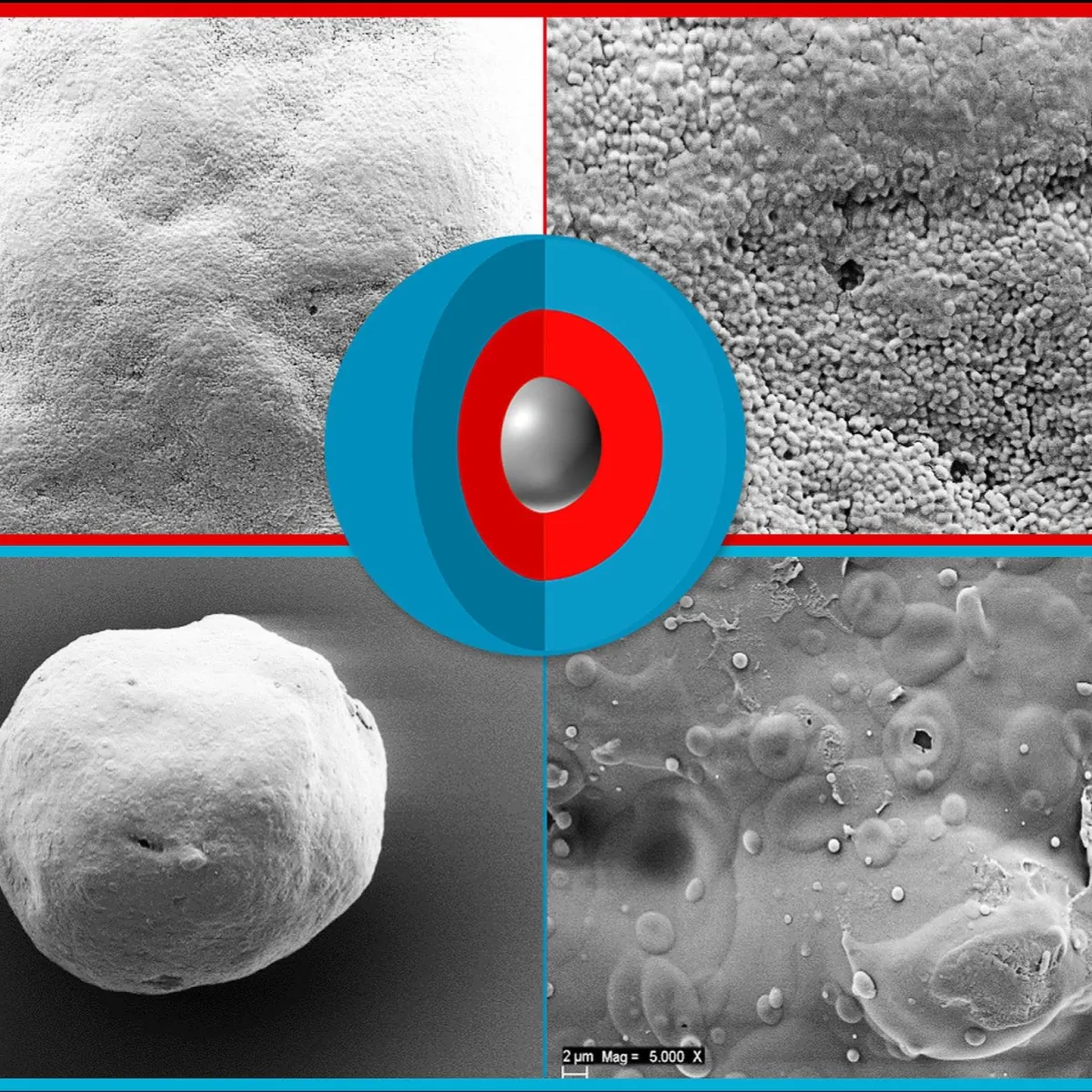 Drying and protective coating for bacteria and other fermentation products