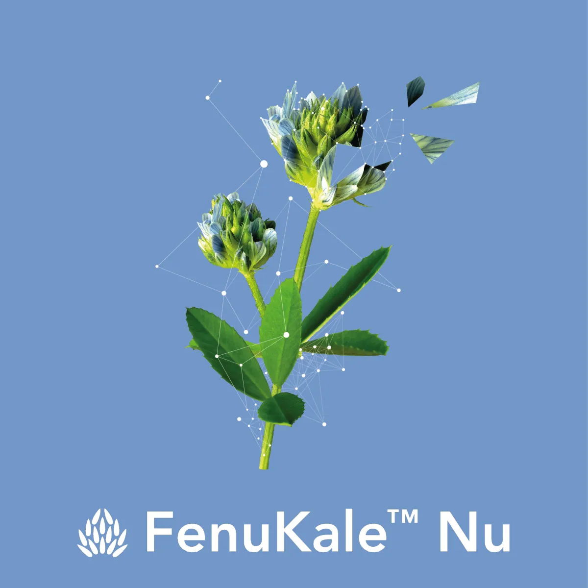 FenuKale™ Nu