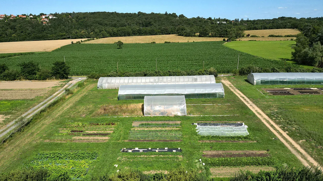 S'installer en microferme maraîchère : données clés et leviers de réussite