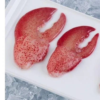 Raw CK Lobster Meat