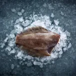 Greenland Halibut