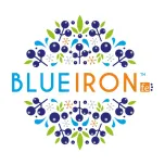 BlueIron Nordic Beauty