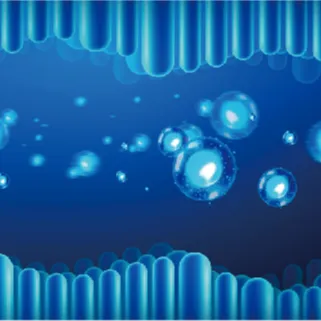 UltraHA™-GI-001 Special sodium hyaluronate for gut health