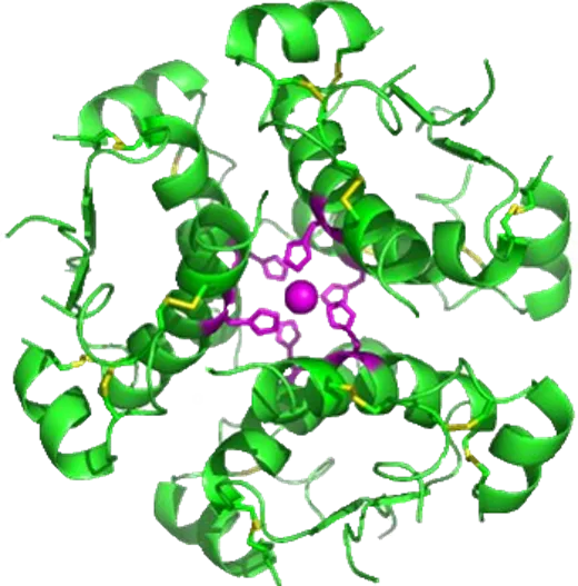 Peptide CRDMO Platform