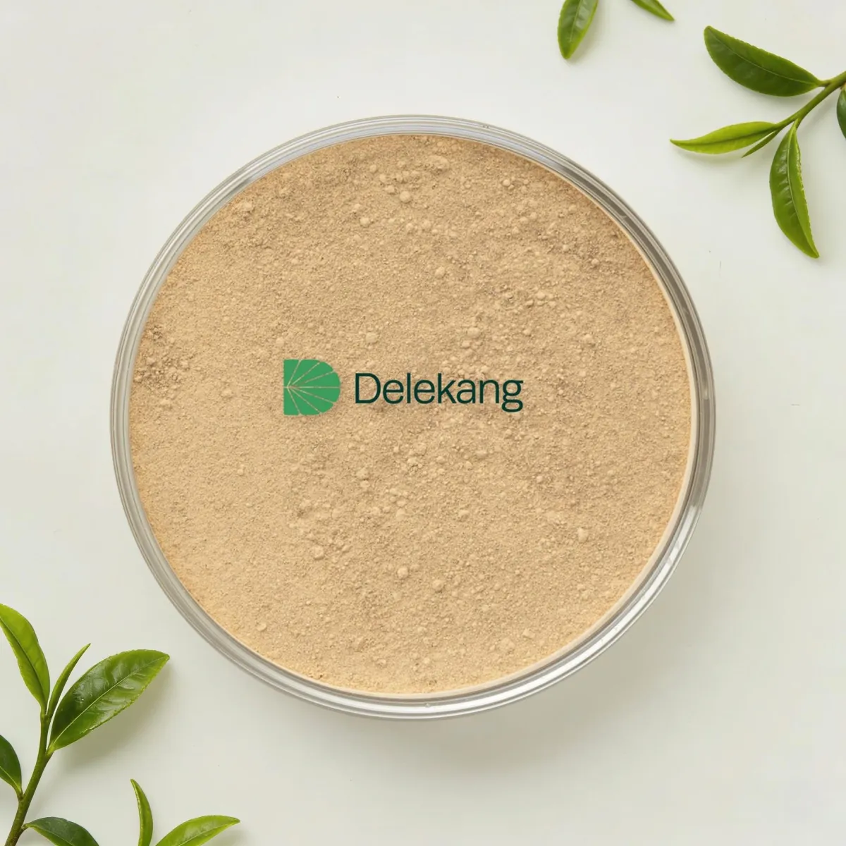 Natural L-Theanine