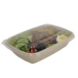 48oz Sugarcane Food Container XDJ-LBBE-CS1400-3