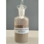 Bacillus coagulans BCP92™