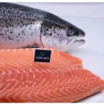 VÅRLAKS – Premium, All-Natural, Arctic Atlantic Salmon